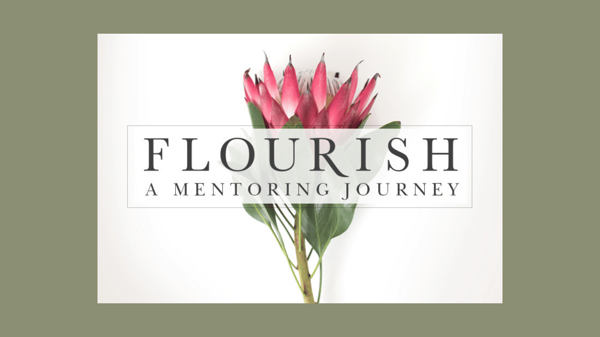 Flourish Mentoring