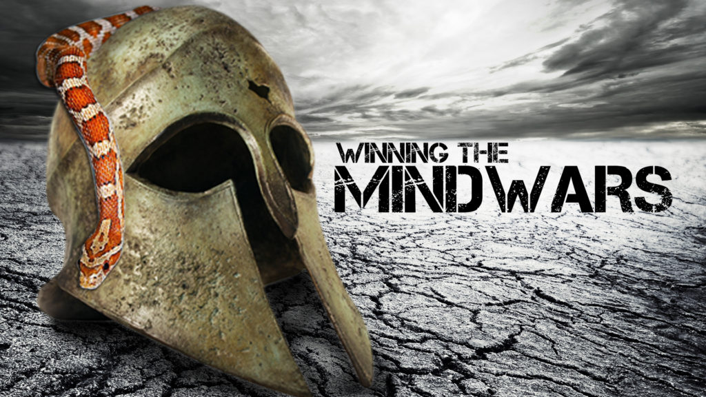 MindWarVidGfx MindWarVidGfx