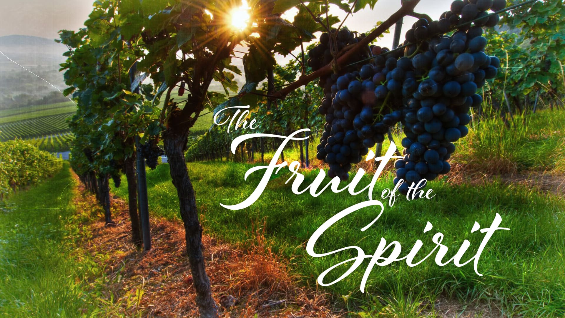 The Fruit of the Spirit | Part 6 - Grace Chapel