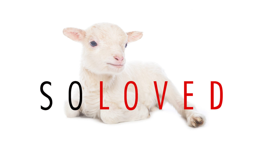 so-loved-title-3.jpg so-loved-title-3.jpg